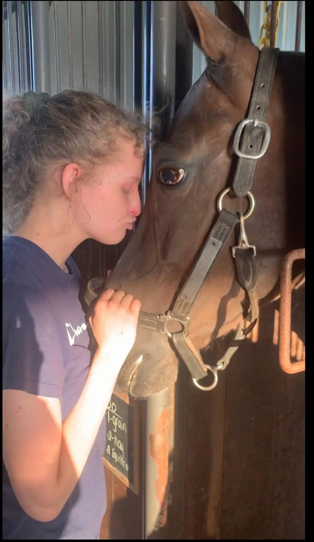 Pet receiving cuddles